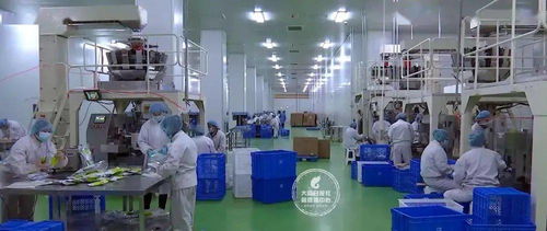 24小時(shí)無(wú)死角消毒，大同國(guó)際陸港嚴(yán)把進(jìn)出口食品安全關(guān)