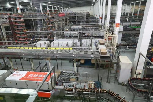 獨(dú)家優(yōu)品價(jià)高何解？?jī)?nèi)地游客眼中的香港食品出口新觀察